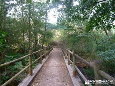 Hoces Río Duratón - Villa Sepúlveda; sendero gr 10 senderismo selva negra